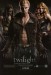 poster_twilight-spiffy.jpg